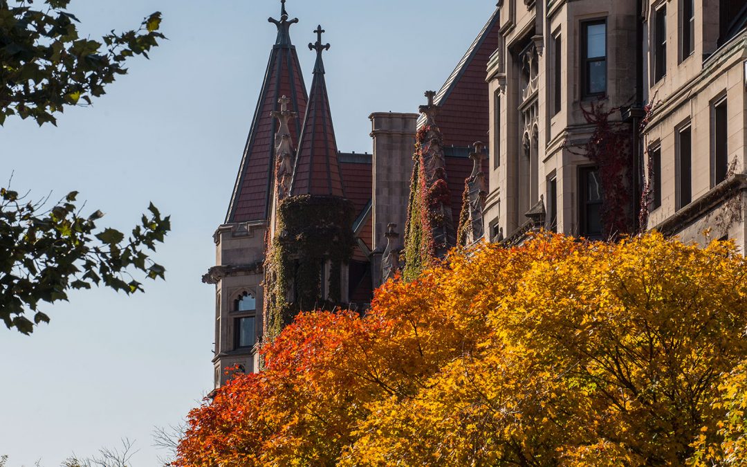 Autumn trees and neo-gothic buildings
