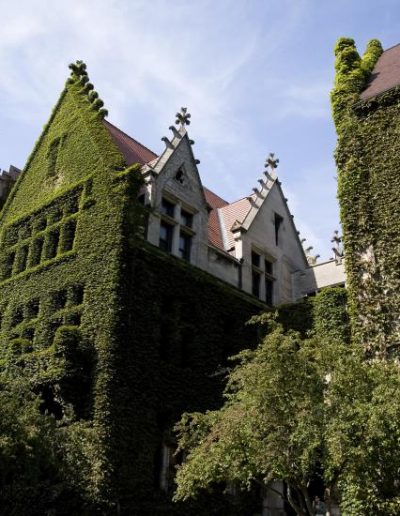 Ivy covered neo-gothic buildings on the quad